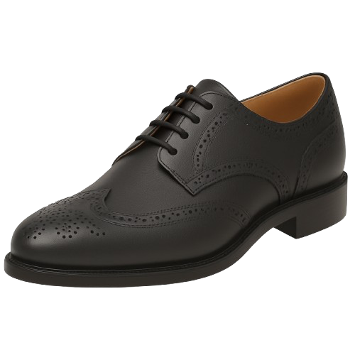 brogue derby